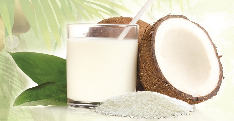 Coconut Milk Powder