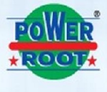 Power Root